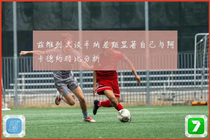 兹维列夫谈辛纳差距显著自己与阿卡德约对比分析