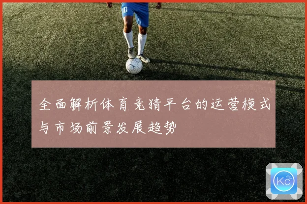 全面解析体育竞猜平台的运营模式与市场前景发展趋势